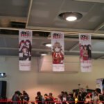 Otaku Expo 2015_0125