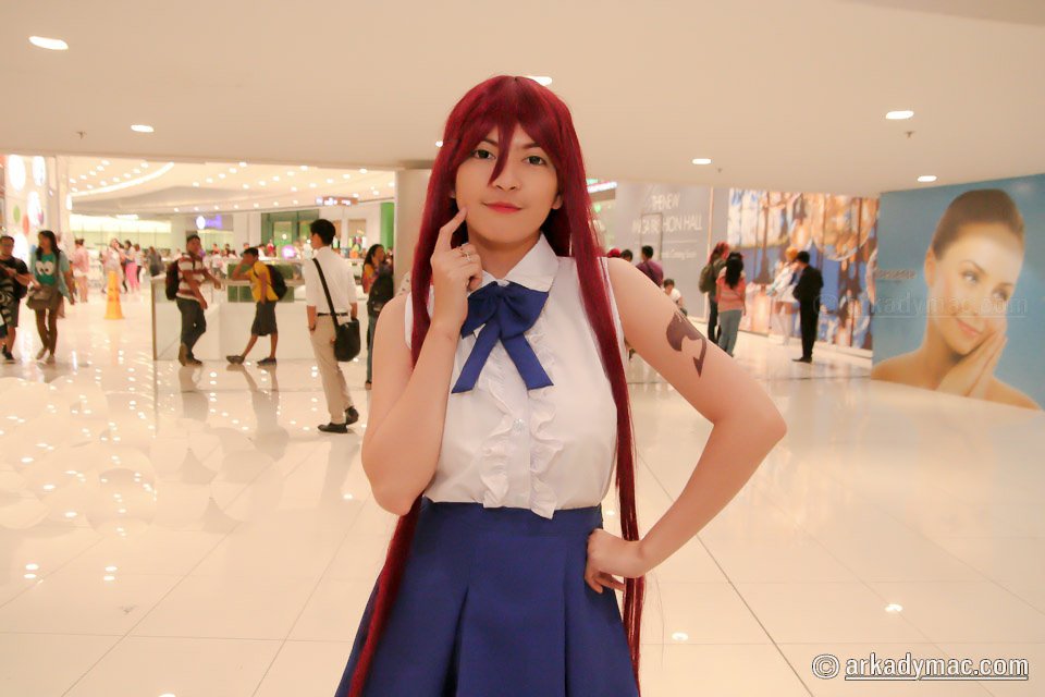 Manga and Anime Festival 2015_0005