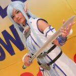 Manga and Anime Festival 2015_0028