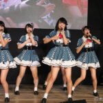 Cool Japan Festival 2015 Day 2_0077