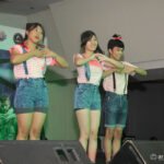 Manila Hobbies and Collectibles Convention 2015 Day 2_0053