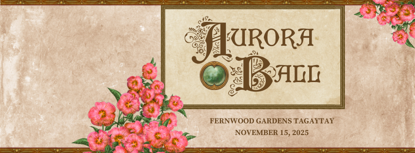 528578800_122138436074839646_4586994047199178389_n